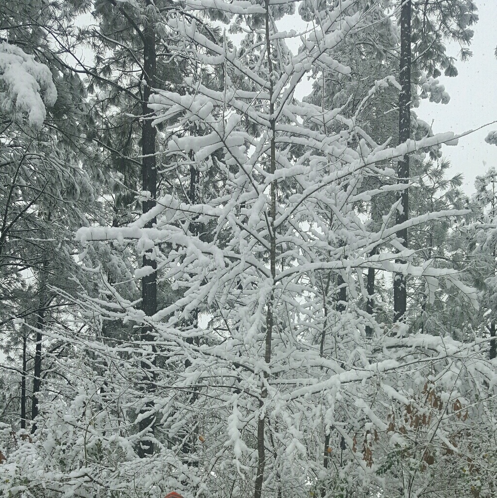 Meet your Posher, Muchelle